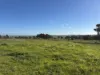 319 Back Trundle Road, Parkes, NSW 2870
