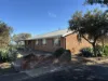 319 Back Trundle Road, Parkes, NSW 2870-Image