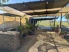 319 Back Trundle Road, Parkes, NSW 2870-Image