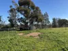 319 Back Trundle Road, Parkes, NSW 2870-Image