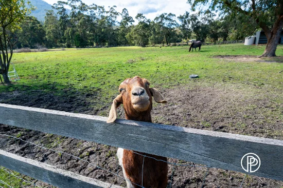 3195 Warburton Highway, Warburton, Vic 3799-Image