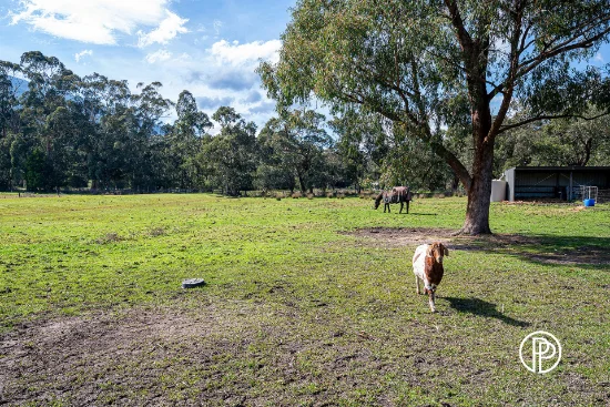 3195 Warburton Highway, Warburton, Vic 3799-Image