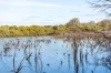 31A Conservation Loop, Erskine, WA 6210-Image