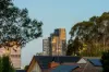 31A Kenmare Street, Mont Albert North, Vic 3129-Image