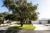 31A Maritime Avenue, Kardinya, WA 6163-Image