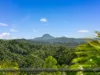 32 - 34 Martins Creek Road, Buderim, Qld 4556-Image