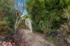 32 Anembo Drive, Torquay, Qld 4655-Image