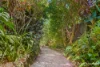 32 Ben Nevis Street, Tamborine Mountain, Qld 4272-Image