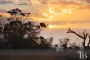 32 Burton Street, Dromana, Vic 3936-Image