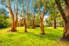 32 Charleroi Road, Belrose, NSW 2085-Image