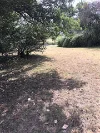 32 Creek Street, Stanthorpe, Qld 4380-Image