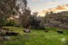 32 Dryandra Crescent, Darlington, WA 6070-Image