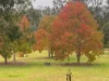 32 East Side Road, Crows Nest, Qld 4355-Image