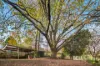 32 Ferres Road, Emerald, Vic 3782-Image