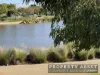 32 Finnis Street, Blakeview, SA 5114-Image