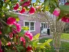 32 Francis Street,, Yea, Vic 3717-Image