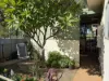 32 Gadd Avenue, Crystal Brook, SA 5523-Image
