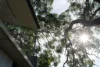 32 Grandview Crescent, Killcare, NSW 2257-Image