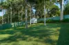 32 Grayson Avenue, Kotara, NSW 2289-Image
