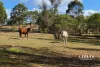 32 Griffin Road, Victory Heights, Qld 4570-Image