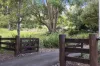 32 Heath Lane, Kureelpa, Qld 4560-Image