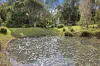 32 Heath Lane, Kureelpa, Qld 4560-Image