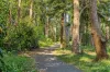 32 Julian Rocks Drive, Byron Bay, NSW 2481-Image