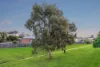 32 Leicester Mews, Leopold, Vic 3224-Image