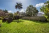 32 Lewis Street, Balgowlah Heights, NSW 2093-Image