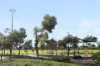 32 Maffina Parade, Ellenbrook, WA 6069-Image