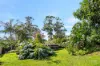 32 Magnetic Drive, Tamborine Mountain, Qld 4272-Image