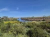 32 Marriott Boulevard, Weir Views, Vic 3338-Image