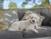 32 Mary Street, Amamoor, Qld 4570-Image