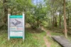 32 Moncrieff Drive, East Ryde, NSW 2113-Image