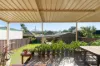 32 Mutch Avenue, Kyeemagh, NSW 2216-Image
