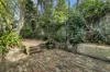 32 Nelson Street, Rozelle, NSW 2039-Image