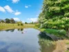 32 Pedder Street, Fingal, Tas 7214-Image