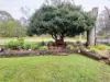 32 Railway Terrace, Crows Nest QLD 4355-Image
