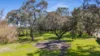 32 Riddoch Highway, Tarpeena, SA 5277-Image