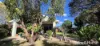 32 Riflebird Crescent, Mossman, Qld 4873-Image