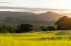32 Sidney Lane, Witta, Qld 4552-Image