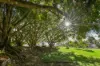 32 Sidney Lane, Witta, Qld 4552-Image