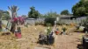 32 Tambulam Way, Armadale, WA 6112-Image