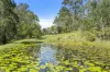 32 Tangara Road, Advancetown, Qld 4211-Image
