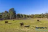 32 Texon Ridge, Lower Chittering, WA 6084-Image