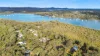 32 Treasure Island Avenue, Karragarra Island, Qld 4184-Image