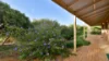 32 Turner Street, Augusta WA 6290-Image