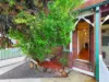 32 Wattle Street, Haberfield NSW 2045-Image
