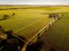 32 Whittlesea Road, Langhorne Creek, SA 5255-Image