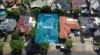 32 Winthrop Drive, Winthrop, WA 6150